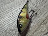 Westin Swim Real Perch 9g - nuotraukos Nr. 6