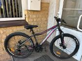 26 col MOUNTAIN ELEKTRA 300 € - nuotraukos Nr. 9