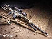 Delta 5® Pro, 20, .308