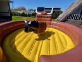 Rodeo bulius 360 platforma - nuotraukos Nr. 2