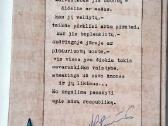 Vyt. Petkevičius. Durnių laivas - nuotraukos Nr. 12