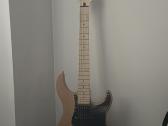 Gitara - nuotraukos Nr. 3