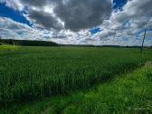 Parduodu arba keičiu žemę, 8.21 ha - nuotraukos Nr. 3