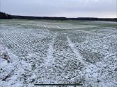 Parduodu arba keičiu žemę, 8.21 ha - nuotraukos Nr. 7