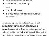 Suknelė su kišenėmis - nuotraukos Nr. 5