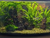 Akvariumas su spintele - nuotraukos Nr. 2