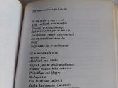Miškai už vėjų - nuotraukos Nr. 4