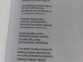 Eiliuotos gyvenimo mintys - nuotraukos Nr. 5