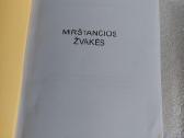 Mirštančios žvakės - nuotraukos Nr. 2