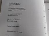 Teatras. Trumpa istorija - nuotraukos Nr. 4