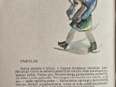 A. Zurba ''Plaukit, ilgaausiai'' - nuotraukos Nr. 5