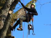 Arboristų paslaugos, medžių pjovimas, genėjimas - nuotraukos Nr. 9