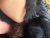 Pora sykiu aveti vyriski mokasinai Bearpaw - nuotraukos Nr. 4