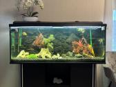 400l akvariumas - nuotraukos Nr. 2