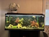 400l akvariumas - nuotraukos Nr. 3