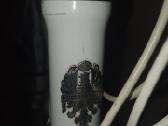 Bianchi Nirone 7 ,Karbonine Priekine Sake - nuotraukos Nr. 5