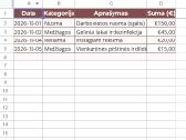 Pajamų ir išlaidų lentelė grožio meistrams - nuotraukos Nr. 2