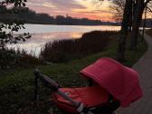 Bugaboo buffalo vežimėlis 2in1 - nuotraukos Nr. 5