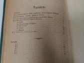 P.klimo Lietuvių senobės bruožai 1919 - nuotraukos Nr. 2