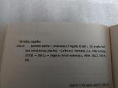Lemties vartai - nuotraukos Nr. 3