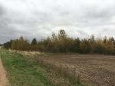 Parduodama Sodyba - nuotraukos Nr. 16
