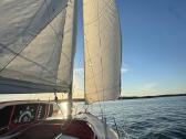 Jachta Albin 78 Cirrus - nuotraukos Nr. 3