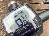 Gazzele - nuotraukos Nr. 3