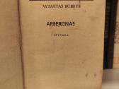 Vytautas Bubnys - Arberonas 1969 m. - nuotraukos Nr. 2