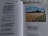 Metų keliais pro žydinčias pakeles - nuotraukos Nr. 3