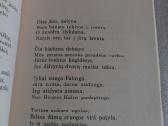 Žydėjimas ir verpetai - nuotraukos Nr. 3