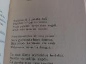 Žydėjimas ir verpetai - nuotraukos Nr. 5