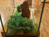 Naujas akvariumas 70litrų- 55€. - nuotraukos Nr. 3