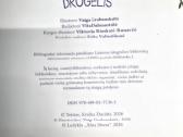 Vaikiška Knygutė Dienos Drugelis Nakties Drugelis - nuotraukos Nr. 4