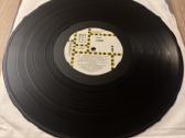 Vixen 1988 Lp vinyl - nuotraukos Nr. 5
