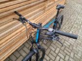 Carver 29er XL - nuotraukos Nr. 4