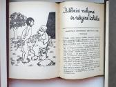 M. Tvenas. Adomo dienoraštis. - nuotraukos Nr. 5