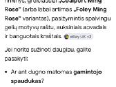 Vintage porceliano puodelis su lėkštute - nuotraukos Nr. 9