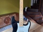 Fender Stratocaster, Made in Japan, 1980-ieji - nuotraukos Nr. 12
