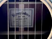 Sigma elektro akustinė gitara - nuotraukos Nr. 6