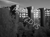 Fotoaparatas Sony Nex-3n (infrared modifikuotas) - nuotraukos Nr. 12