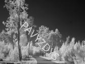 Fotoaparatas Sony Nex-3n (infrared modifikuotas) - nuotraukos Nr. 10