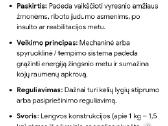 Pagalbine priemone vaiksciojimui - nuotraukos Nr. 3