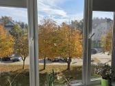 3 miegamųjų ilgalaikė buto nuoma Palangoje - nuotraukos Nr. 13
