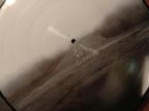 Daddy Was A Milkman-inadequate Lp - nuotraukos Nr. 3