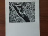 Stasys Krasauskas - reprodukcijų rinkinys 1970 m. - nuotraukos Nr. 16