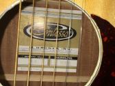 Gitaros - nuotraukos Nr. 2