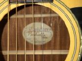 Gitaros - nuotraukos Nr. 2