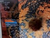 Radeon Rx 6800xt gaming x trio 16gb - nuotraukos Nr. 2