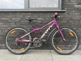Scott contessa 24" - nuotraukos Nr. 2