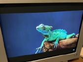 Hp P1230 Crt monitorius (22", 140khz) - nuotraukos Nr. 7